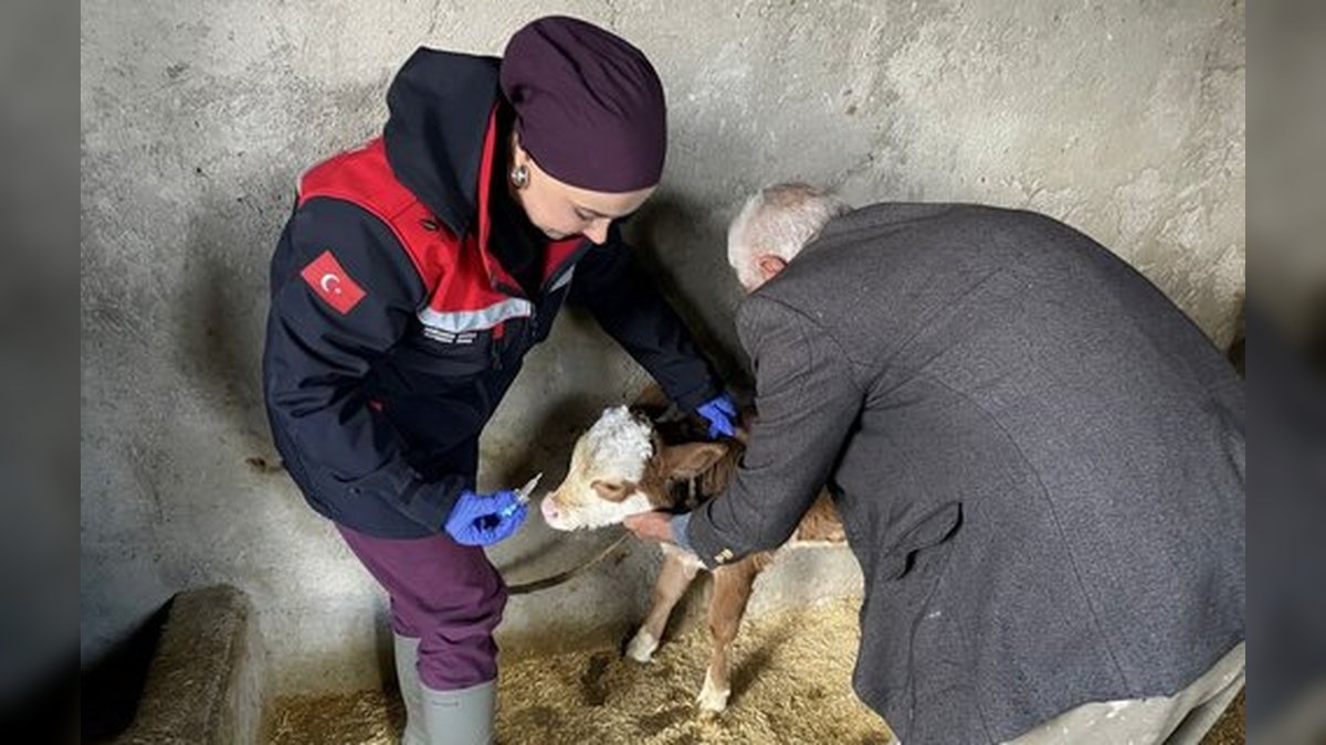 Adıyaman'da Zoonoz Hastalıklara Karşı Aşılama Çalışmaları Aralıksız Sürüyor