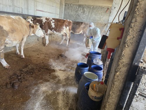Adıyaman'da Zoonoz Hastalıklara Karşı Aşılama Çalışmaları Aralıksız Sürüyor - Görsel 2