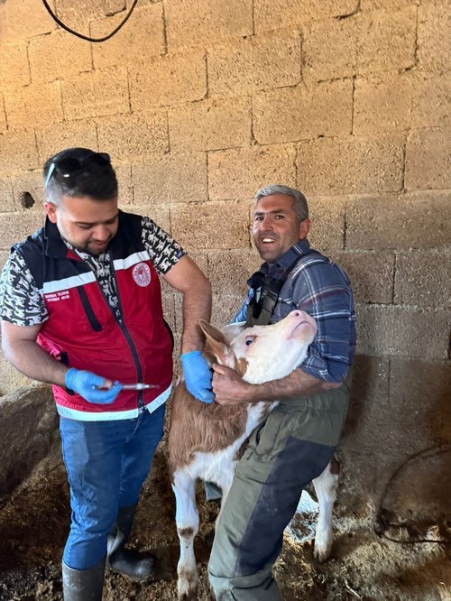 Adıyaman'da Zoonoz Hastalıklara Karşı Aşılama Çalışmaları Aralıksız Sürüyor - Görsel 4