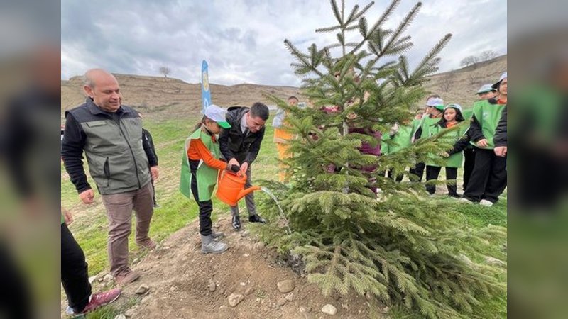 Amasya Orman Bölge Müdürlüğü: Taşova'da Orman Haftası Kapsamında Fidan Dikim Töreni