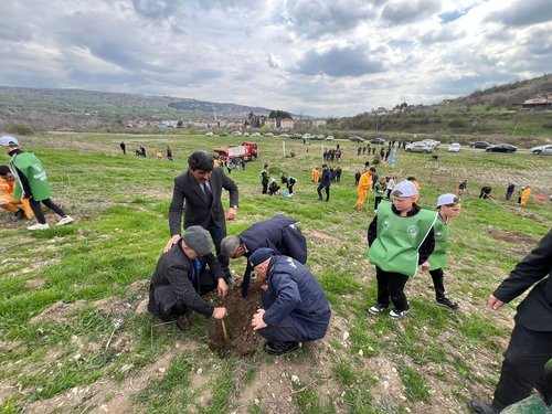 Amasya Orman Bölge Müdürlüğü: Taşova'da Orman Haftası Kapsamında Fidan Dikim Töreni - Görsel 2