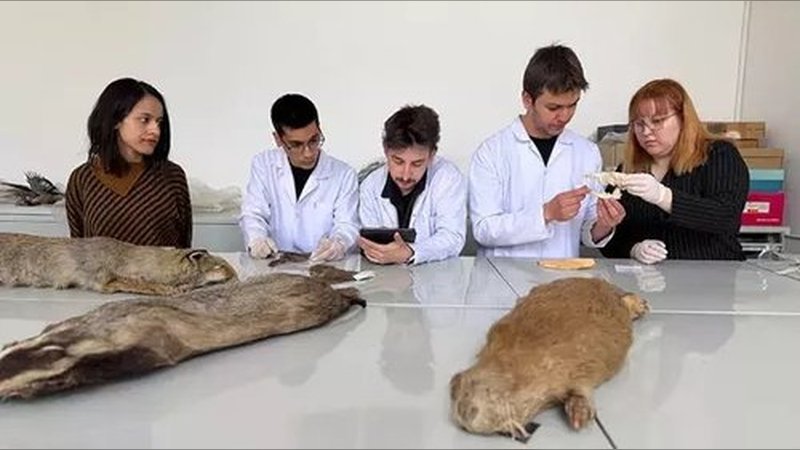 Ankara Üniversitesi Fen Fakültesi Biyoloji Bölümü, Yaban Hayvanı Koleksiyonu ile Bilime Işık Tutuyor