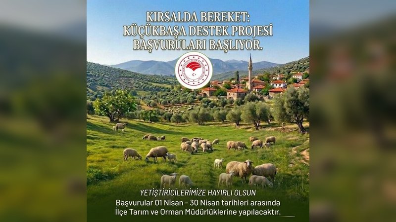 Aydın'da Küçükbaş Hayvancılığa Destek Projesi Başlıyor