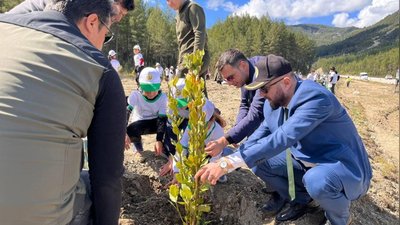 Kaş'ta Orman Haftası Kapsamında Fidan Dikim Etkinliği