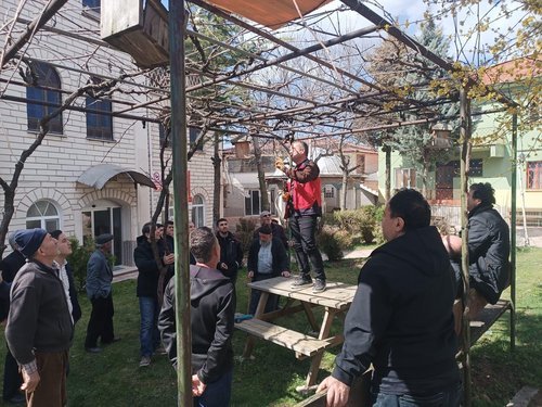 Kütahya'da Meyve Ağaçlarında Budama Eğitimi Verildi - Görsel 2