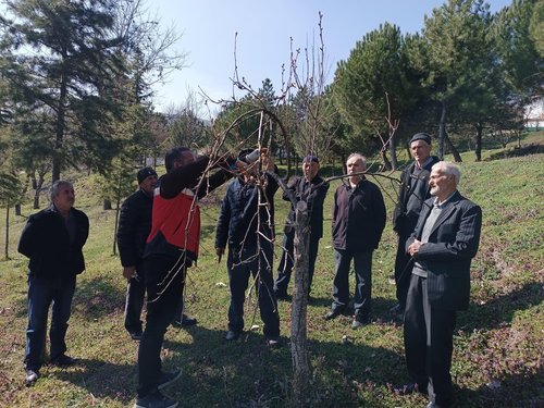 Kütahya'da Meyve Ağaçlarında Budama Eğitimi Verildi - Görsel 3