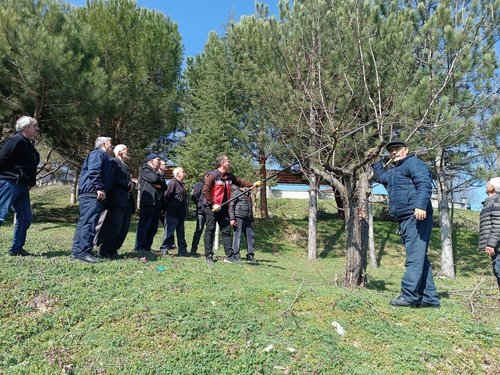 Kütahya'da Meyve Ağaçlarında Budama Eğitimi Verildi - Görsel 4