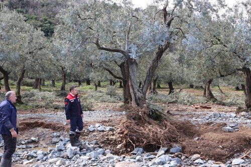 Yalova Tarım ve Orman İl Müdürü Mustafa İlmeç'ten Sel Felaketi Sonrası Çınarcık'ta İnceleme - Görsel 3