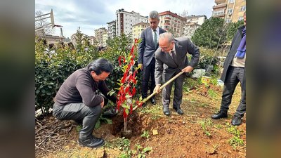 Ataşehir Kaymakamlığı'ndan Nevruz Kutlaması: Fidan Dikimi ve Geleneksel Etkinlikler