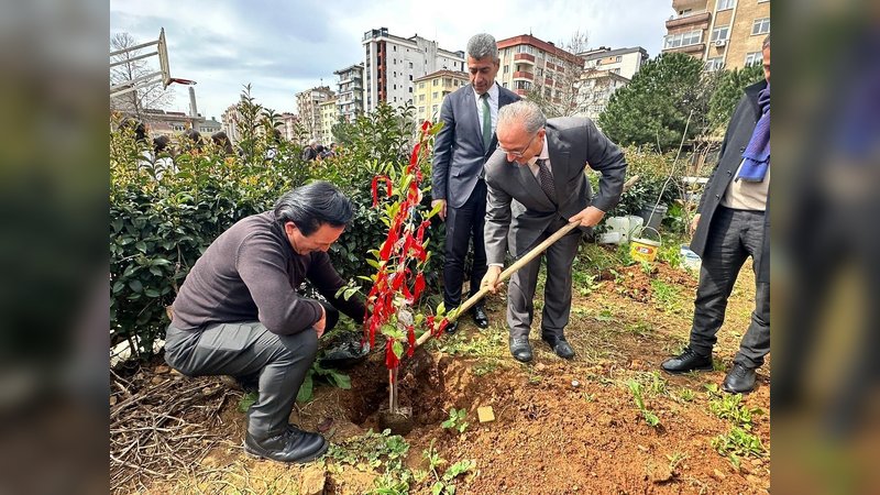 Ataşehir Kaymakamlığı'ndan Nevruz Kutlaması: Fidan Dikimi ve Geleneksel Etkinlikler