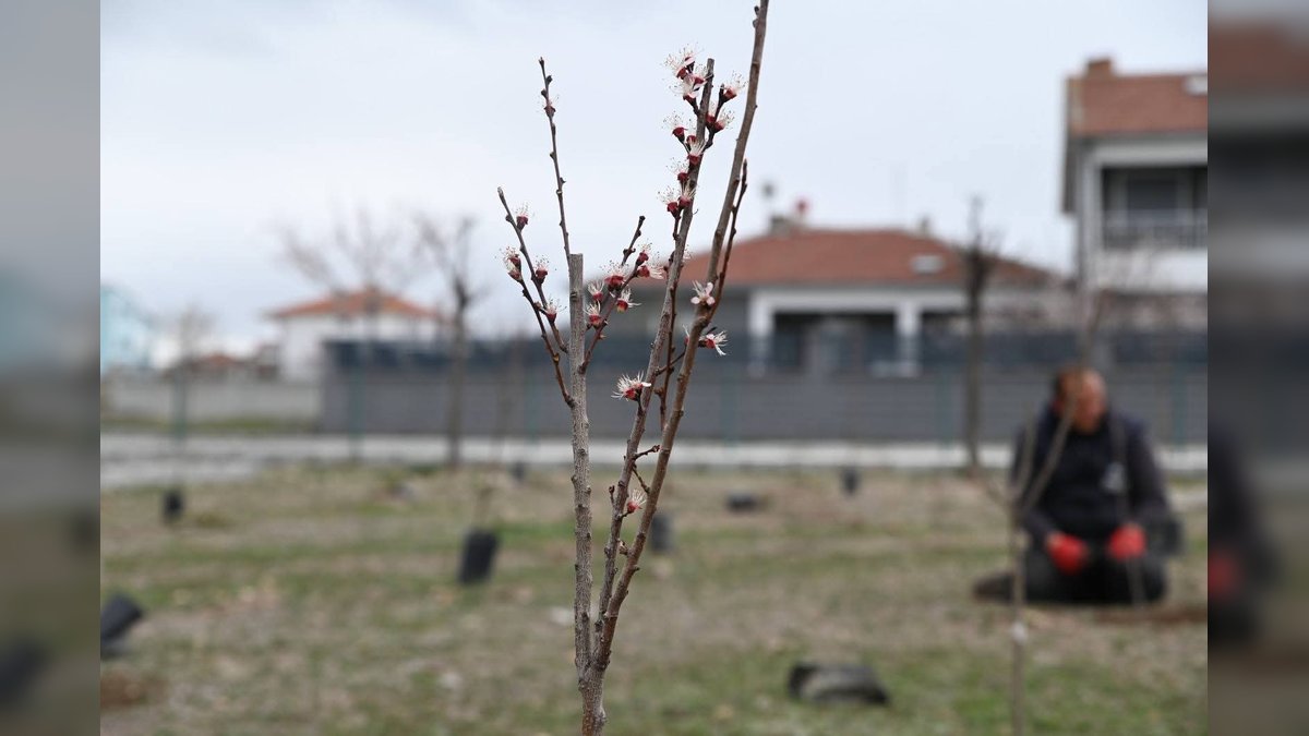 Emirdağ'da 'Her Mahalleye Meyve Parkı' Projesi Kapsamında Yenidoğan Mahallesi'ne Yeni Yaşam Alanı Kazandırılıyor