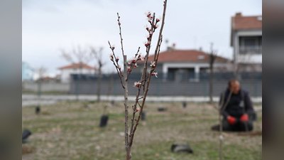 Emirdağ'da 'Her Mahalleye Meyve Parkı' Projesi Kapsamında Yenidoğan Mahallesi'ne Yeni Yaşam Alanı Kazandırılıyor