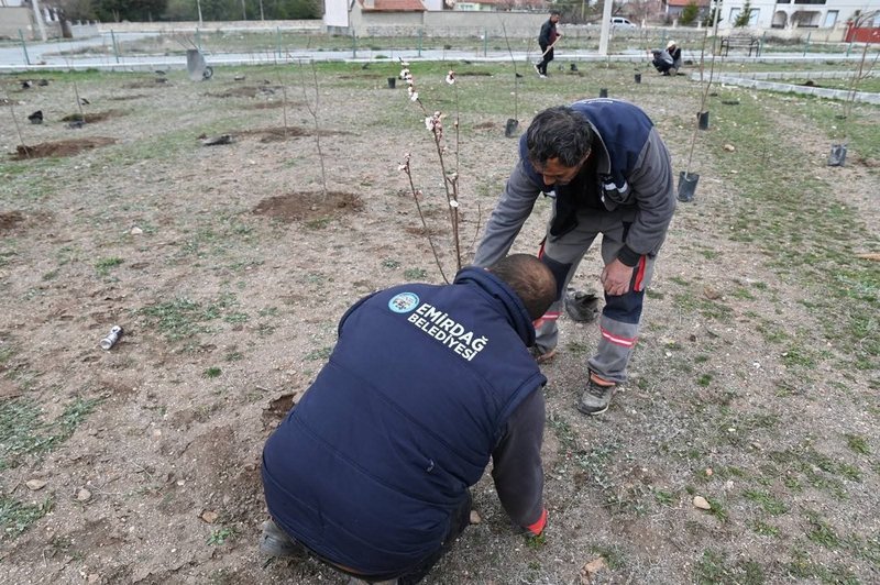 Emirdağ'da 'Her Mahalleye Meyve Parkı' Projesi Kapsamında Yenidoğan Mahallesi'ne Yeni Yaşam Alanı Kazandırılıyor - Görsel 2