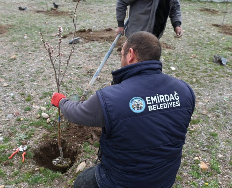 Emirdağ'da 'Her Mahalleye Meyve Parkı' Projesi Kapsamında Yenidoğan Mahallesi'ne Yeni Yaşam Alanı Kazandırılıyor - Görsel 3