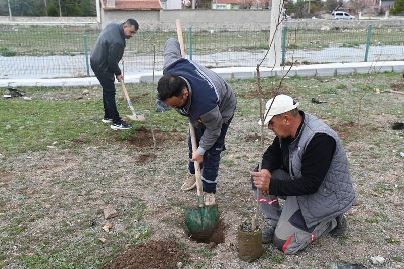 Emirdağ'da 'Her Mahalleye Meyve Parkı' Projesi Kapsamında Yenidoğan Mahallesi'ne Yeni Yaşam Alanı Kazandırılıyor - Görsel 4