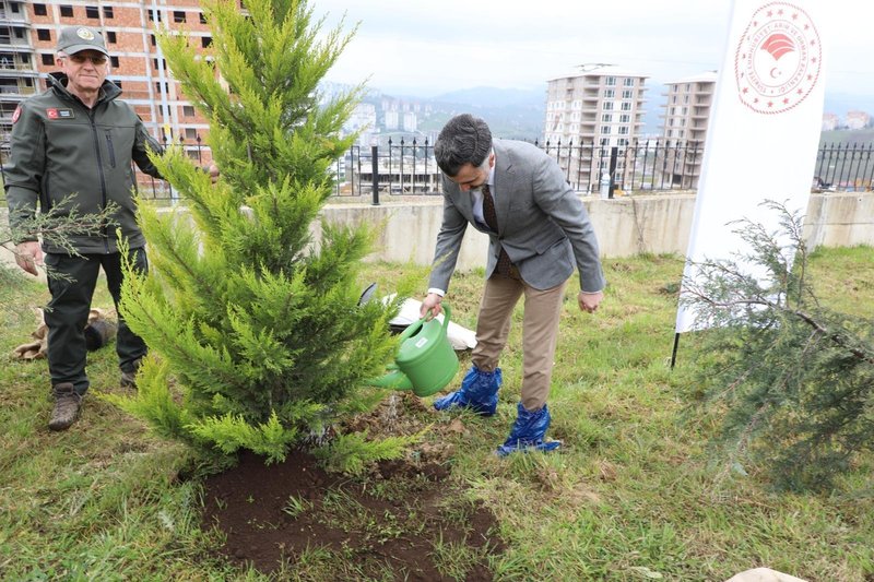 Ordu'da Orman Haftası Kapsamında Öğrencilerden Doğaya Anlamlı Dokunuşlar - Görsel 4