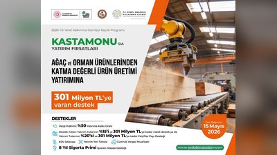 Kastamonu'da Orman Ürünleri Yatırımlarına 301 Milyon TL'ye Kadar Destek