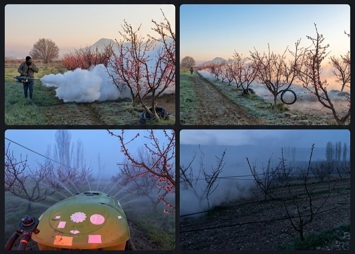 Denizli'de Çivril'de Zirai Dona Karşı Etkin Mücadele Sürüyor - Görsel 2