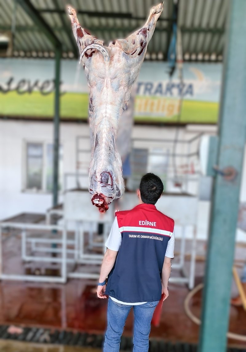 Edirne İl Tarım ve Orman Müdürlüğü'nden Kurban Bayramı Denetimleri - Görsel 2