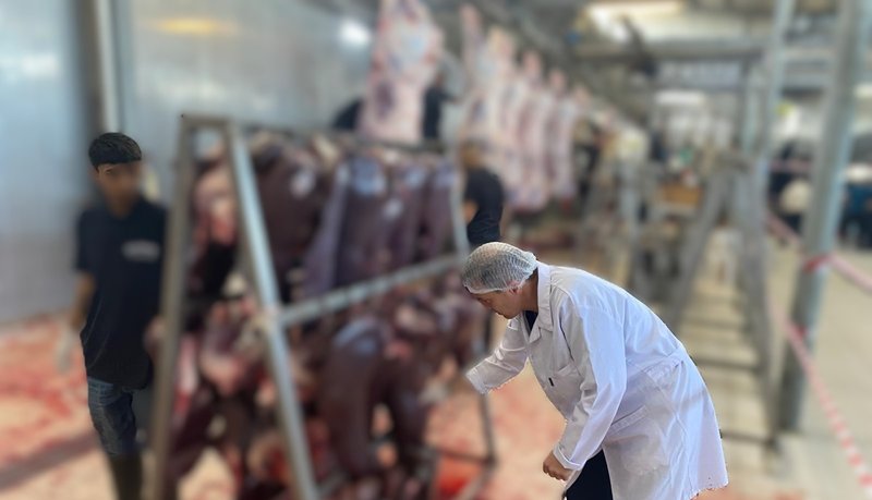 Edirne İl Tarım ve Orman Müdürlüğü'nden Kurban Bayramı Denetimleri - Görsel 3