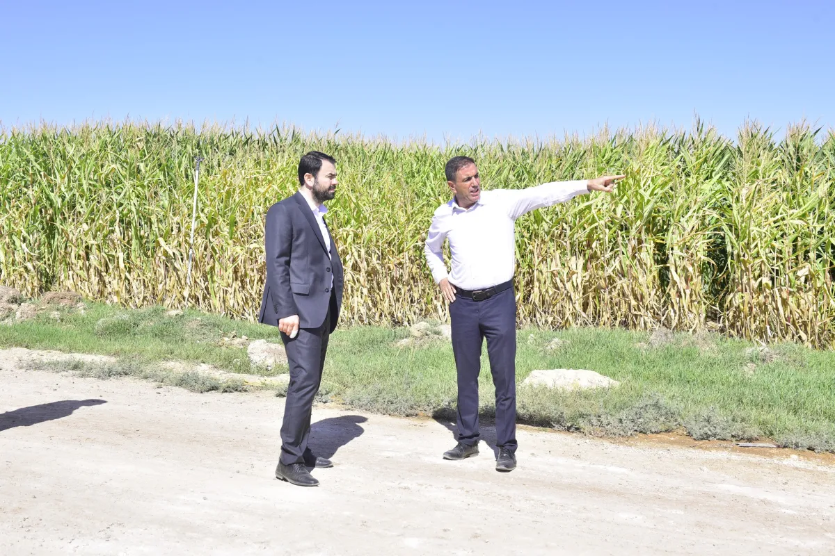 Çınar Belediyesi Eşbaşkanı Kahraman'dan Altınköy'e Ziyaret: Yol Çalışmaları ve Taziye Evi İncelemesi