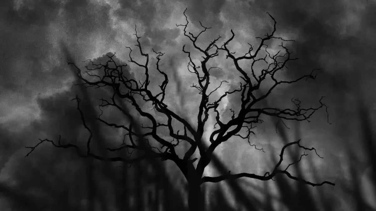 Bakan Kurum'dan Gazze'ye Destek Mesajı: 'Filistin Özgür Olana Dek Yanındayız!'