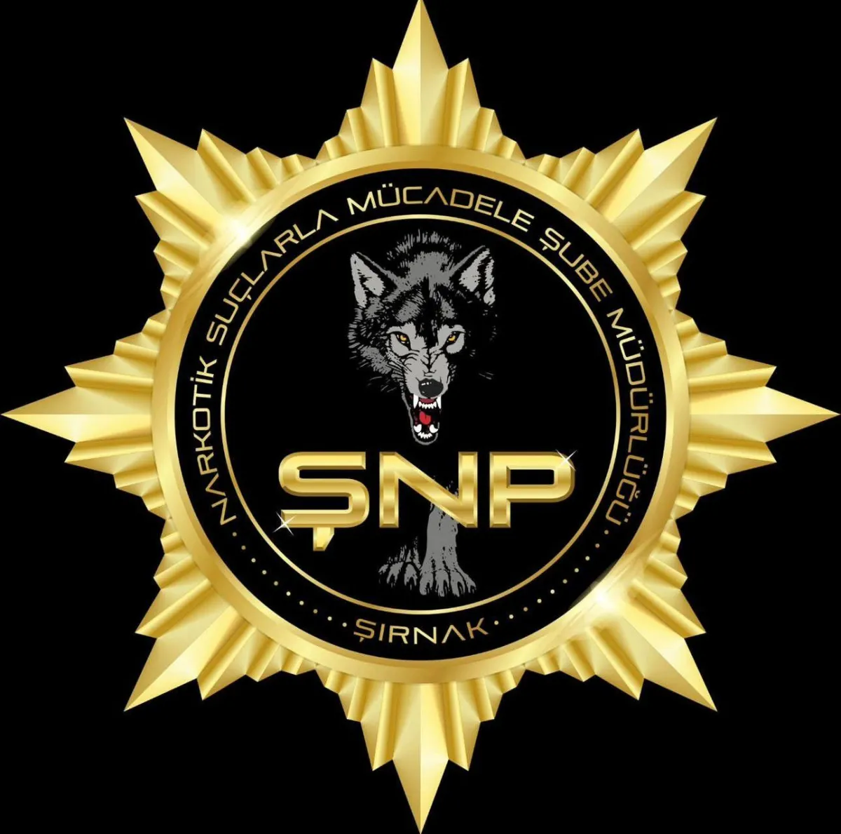 Şırnak Emniyeti Uyuşturucu Satışından Hükümlü Bir Şahsı Yakaladı