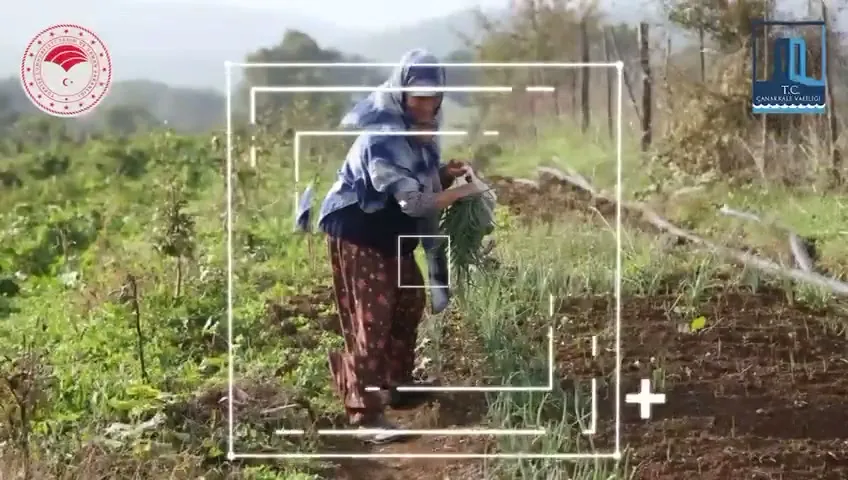 Çanakkale Valiliği'nden Dünya Çiftçi Kadınlar Günü Mesajı: Emekleri Minnetle Anıldı