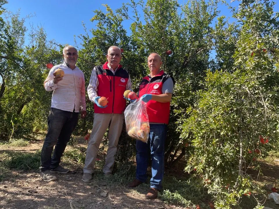 Şanlıurfa'da Hasat Öncesi Nar Numuneleri Pestisit Analizine Gönderildi