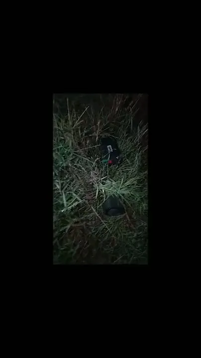 Balıkesir Gönen'de Yasa Dışı Avcılık Ekipmanları Ele Geçirildi