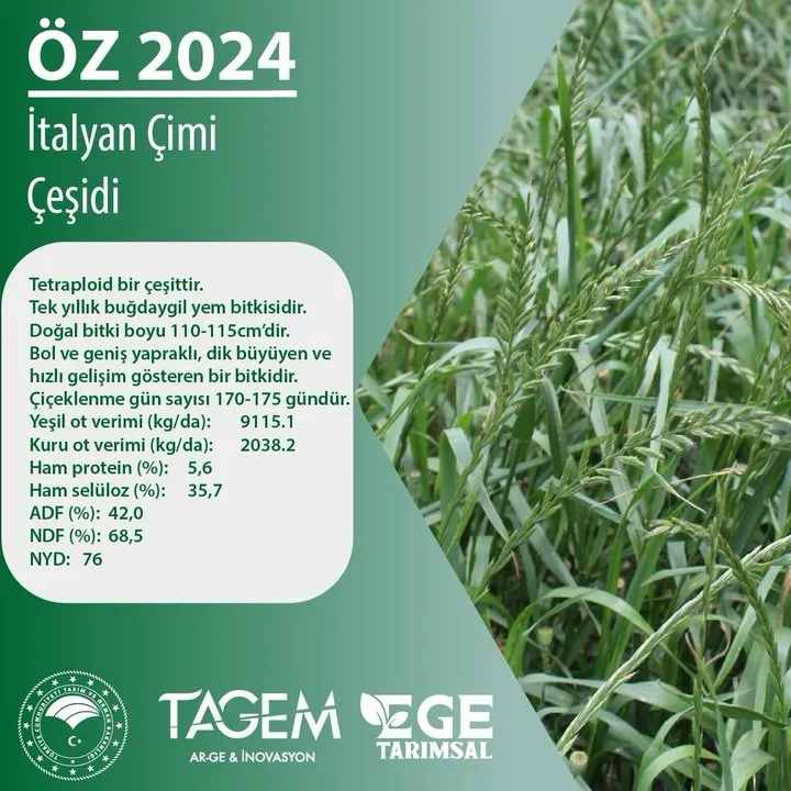 Ege Tarımsal Araştırma Enstitüsü'nden Çeşit Devir İhalesi Duyurusu