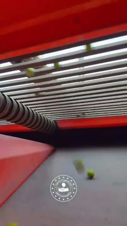 Nizip'te 2. Zeytin Festivali Hazırlıkları Hız Kazandı: Tarihleri Belli Oldu