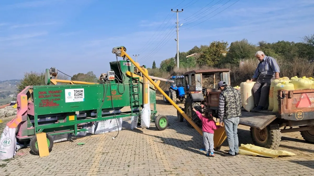Kandıra Belediyesi Araman Mahallesi'nde Tohum Eleme Çalışmalarını Tamamladı