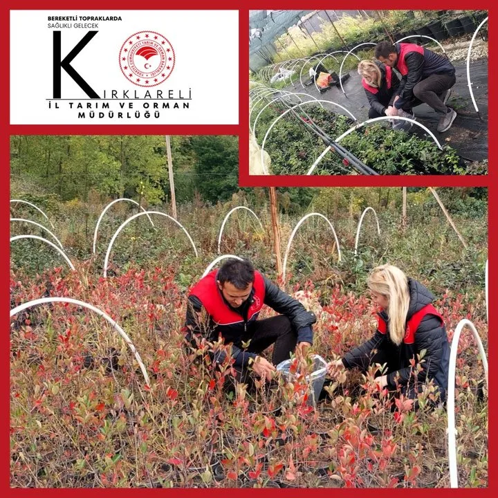 Kırklareli Tarım Müdürlüğü'nden Bitki Pasaportu Sistemi Kapsamında Denetim