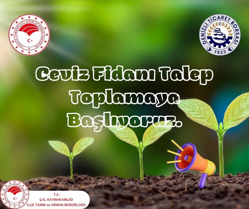 Çal'da Ceviz Üretimini Artırma Projesi Kapsamında Fidan Dağıtımı Başlıyor