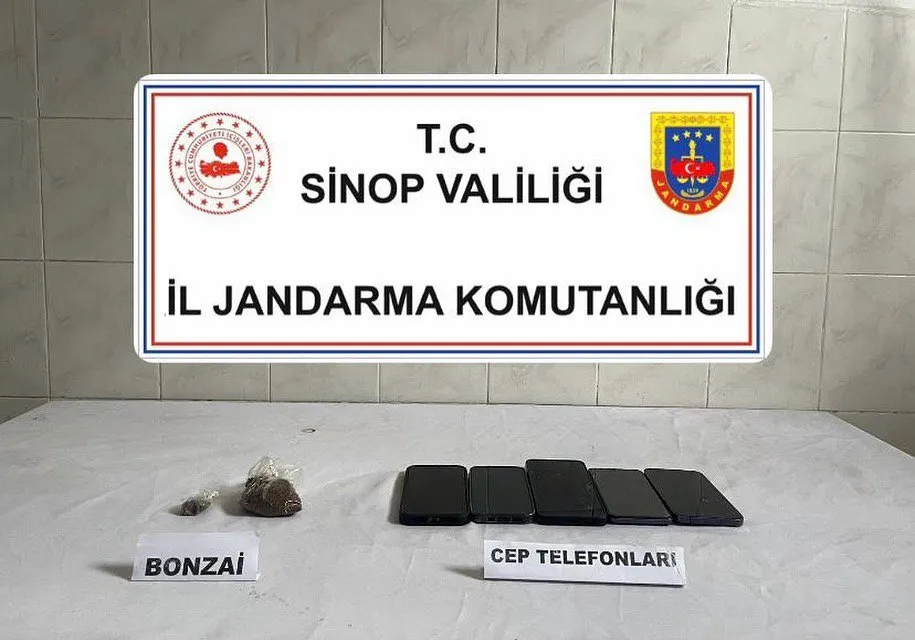 Sinop'ta Uyuşturucu Operasyonu: 1 Kişi Tutuklandı, Bonzai Ele Geçirildi