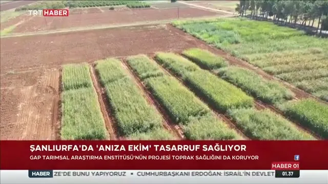 GAP Enstitüsü'nün Anıza Ekim Yöntemi Ulusal ve Yerel Basında Yankı Buldu