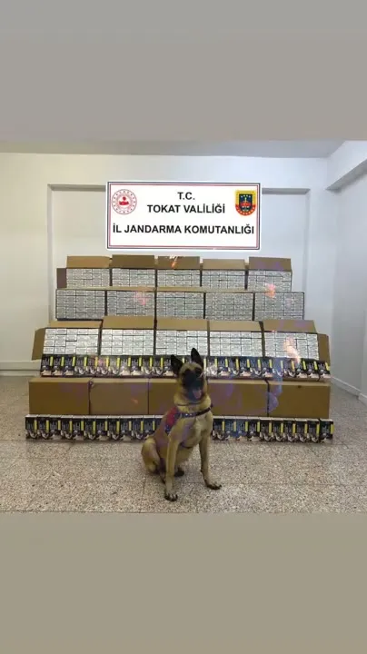 Tokat'ta Kaçak Makaron Operasyonu: 1 Milyon Adet Makaron Ele Geçirildi