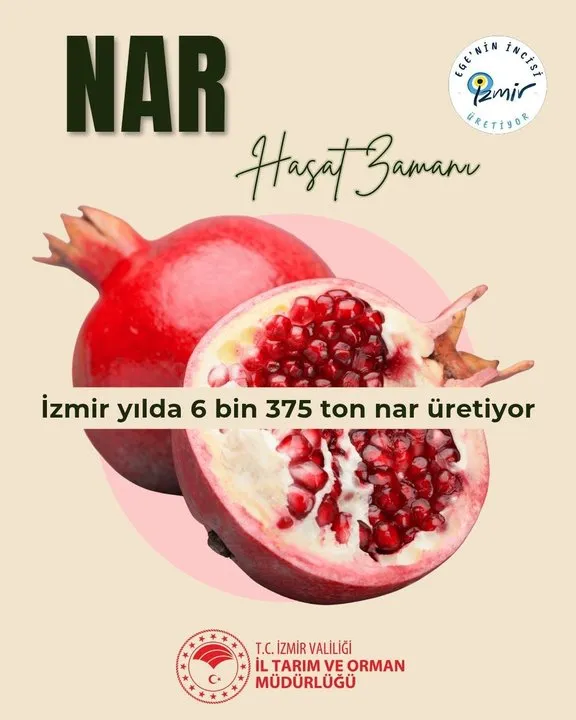 İzmir Tarım ve Orman İl Müdürlüğü'nden Nar Hasadı ve Üretim Vurgusu
