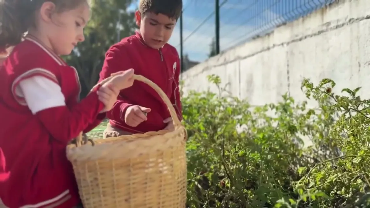 Kocaeli'de Öğrenciler 'Türkiye Yüzyılı Maarif Modeli' Kapsamında Turşu Yapıyor