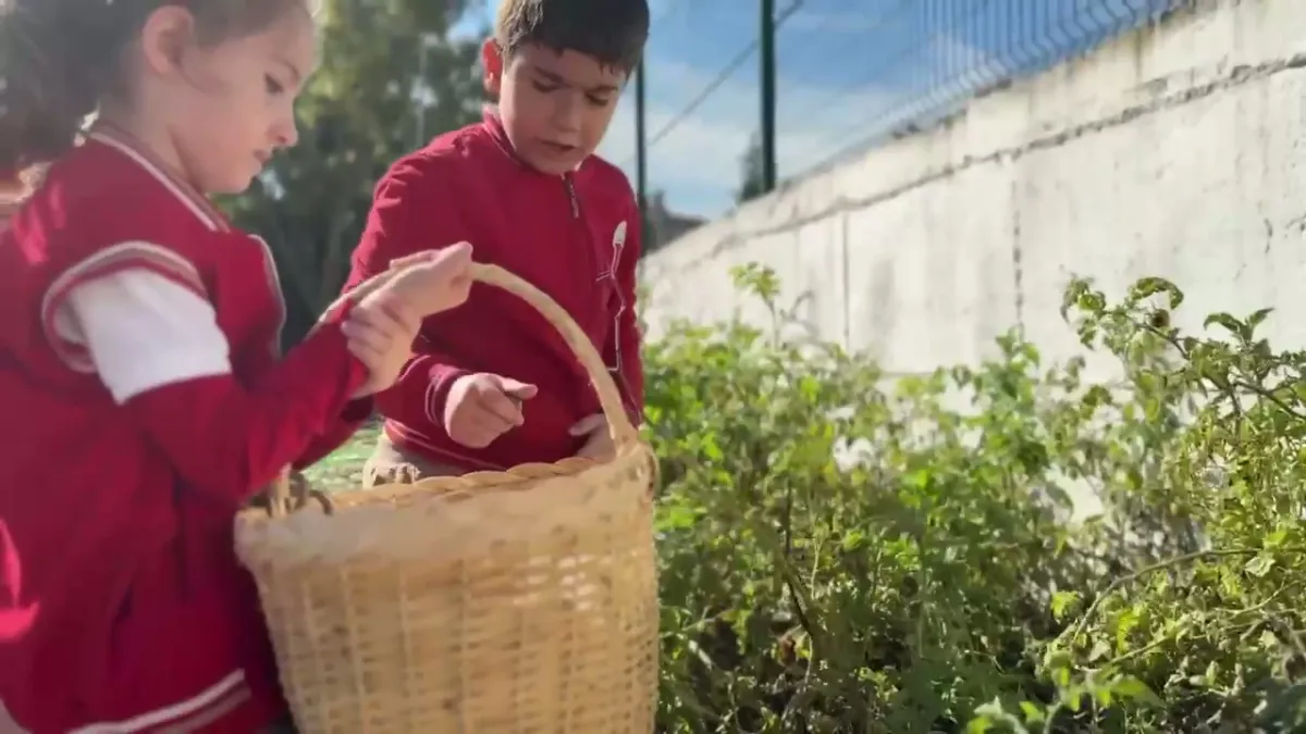 Milli Eğitim Bakanlığı: Öğrenciler 'Türkiye Yüzyılı Maarif Modeli' ile Beceri Temelli Eğitim Alıyor