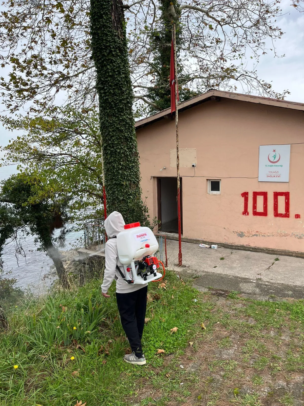 Giresun'da Kahverengi Kokarca Mücadelesi Yolağzı Köyü'nde Yoğunlaştı