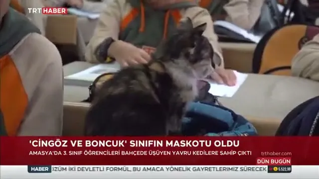 Amasya Valiliği: Öğrenciler Sevgi ve Merhamet Değerleriyle Örnek Oluyor